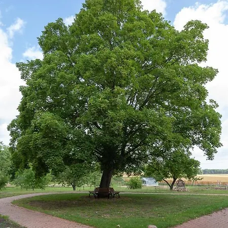 - Barrierefrei - Im Sanierten Gutshof Apartament *