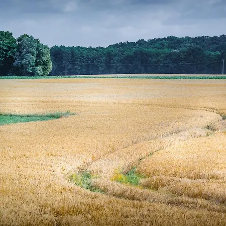 - Barrierefrei - Im Sanierten Gutshof * Lalendorf