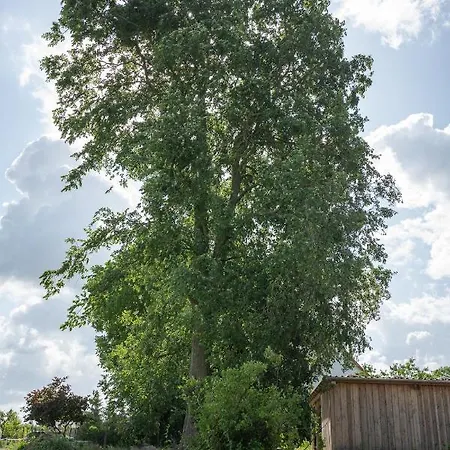 - Barrierefrei - Im Sanierten Gutshof Lalendorf
