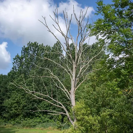 Apartmán - Barrierefrei - Im Sanierten Gutshof Lalendorf