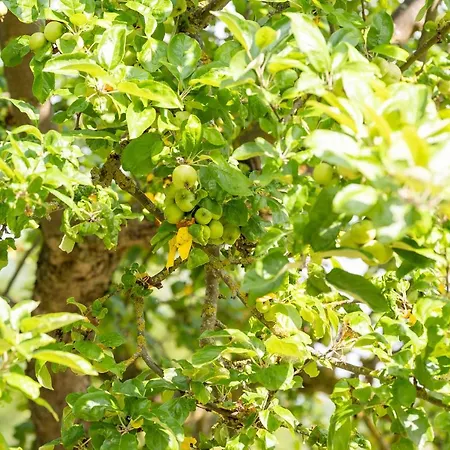 - Barrierefrei - Im Sanierten Gutshof