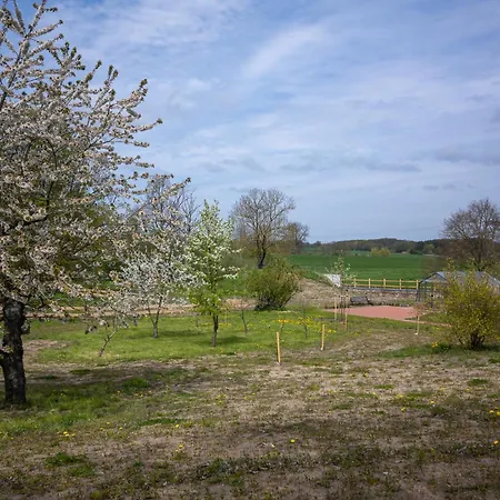 - Barrierefrei - Im Sanierten Gutshof Lejlighed