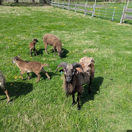 - Barrierefrei - Im Sanierten Gutshof