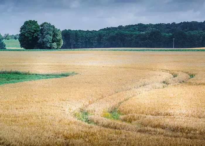 - Barrierefrei - Im Sanierten Gutshof * Lalendorf