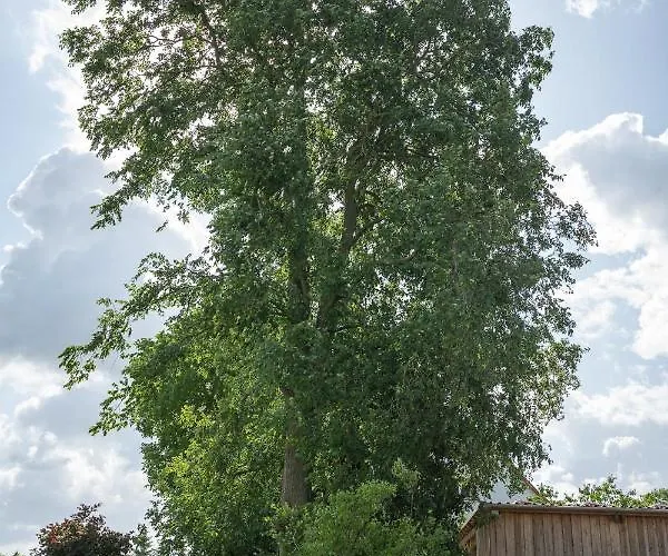 - Barrierefrei - Im Sanierten Gutshof Lalendorf