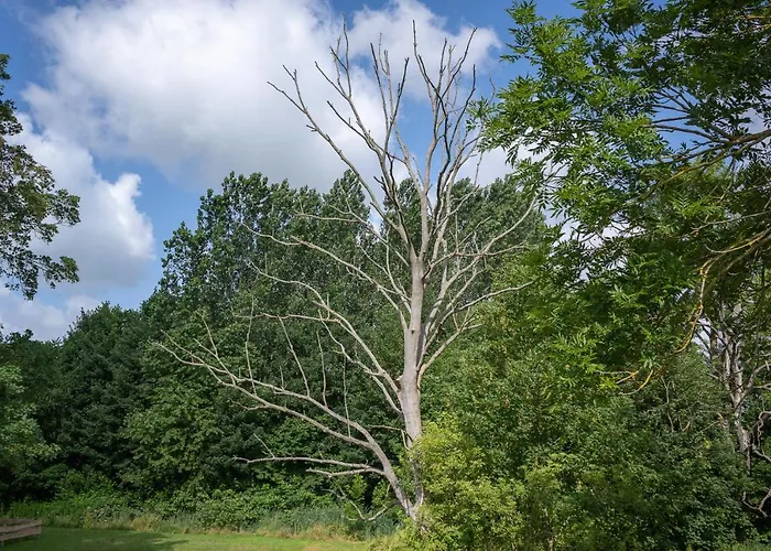 Apartment - Barrierefrei - Im Sanierten Gutshof Lalendorf