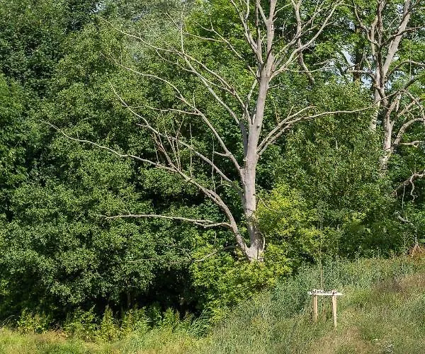 - Barrierefrei - Im Sanierten Gutshof Lalendorf