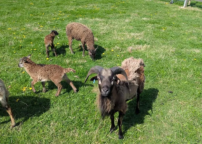 - Barrierefrei - Im Sanierten Gutshof